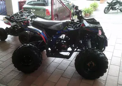  Altre moto o tipologie Quad - Annuncio 8193314