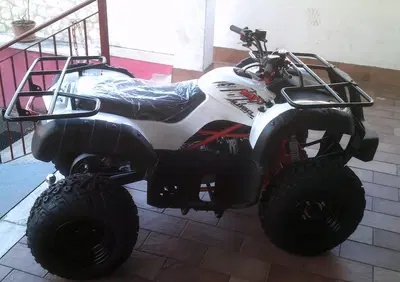  Altre moto o tipologie Quad - Annuncio 8214836