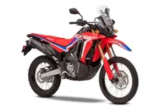 Nuove Honda CRF300L e CRF300 Rally 2021: arrivano in Italia