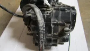 Honda   (5)