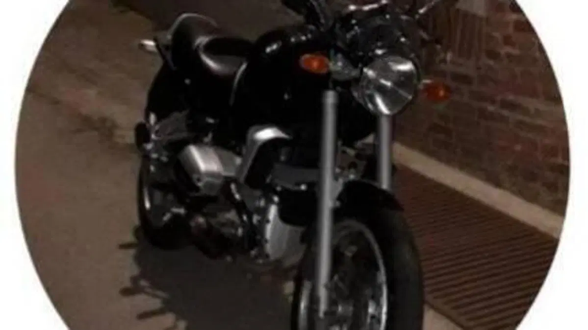 Bmw R 1100 R  (3)