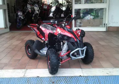  Altre moto o tipologie Quad - Annuncio 8259969