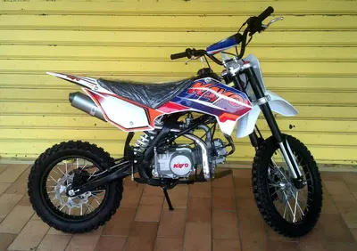  Altre moto o tipologie Pitbike - Annuncio 8260033