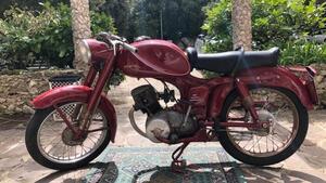 Ducati  