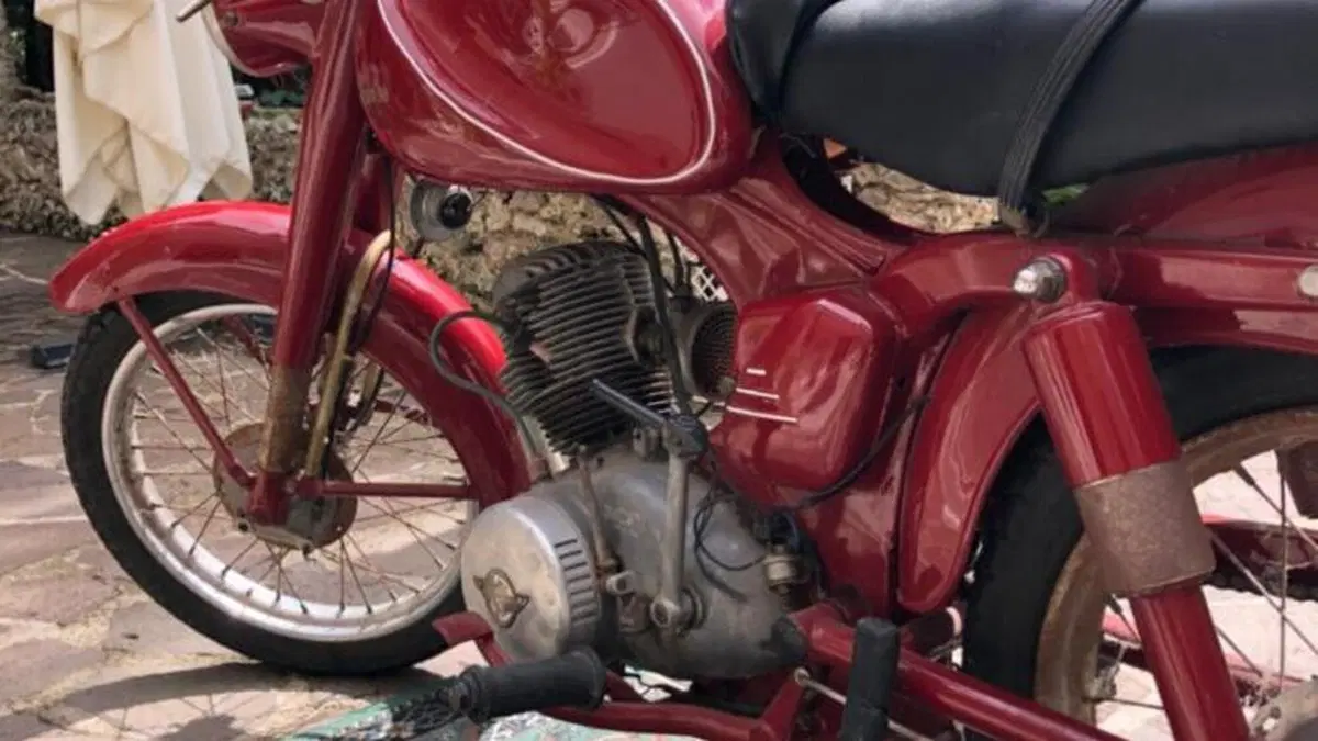 Ducati   (6)