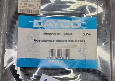 CINGHIA DISTRIBUZIONE DAYCO DUCATI 996 R 2001 Rms - Annuncio 8280950