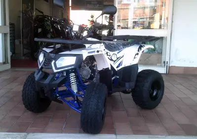  Altre moto o tipologie Quad - Annuncio 8294021