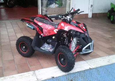  Altre moto o tipologie Quad - Annuncio 8294024