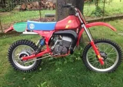 Betamotor cr 250 - Annuncio 8317683