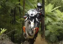 Chris Birch, che numeri con la KTM 1290 Super Adventure R  [VIDEO]