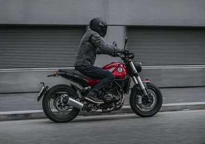 Benelli Leoncino 500 (2021 - 25) - Annuncio 8348012