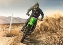 Kawasaki KX250X 2022 Cross Country