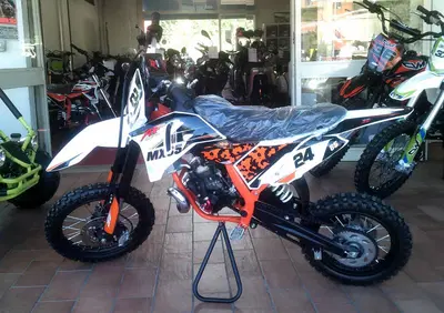  Altre moto o tipologie Pitbike - Annuncio 8388089