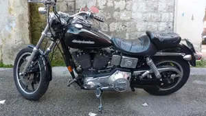 Harley-Davidson   (2)