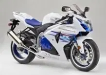 Suzuki GSX-R1000 SE
