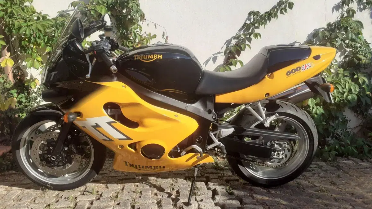 Triumph   (4)