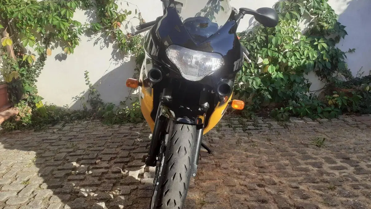 Triumph   (5)