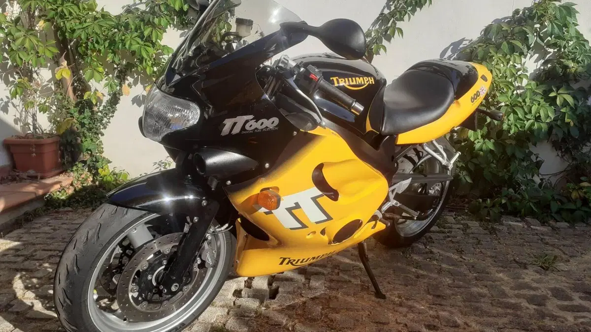 Triumph   (6)