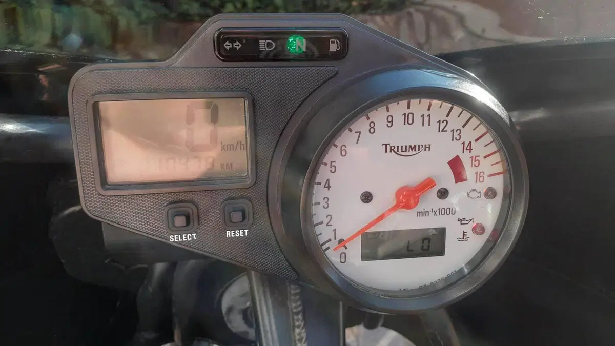 Triumph   (7)