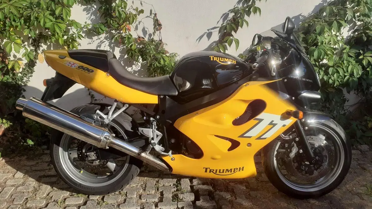 Triumph   (3)