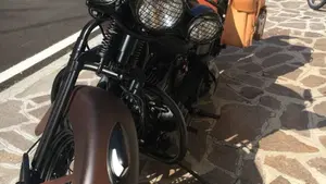 Harley-Davidson 1450 Heritage Springer (2000 - 03) - FLSTS  (9)