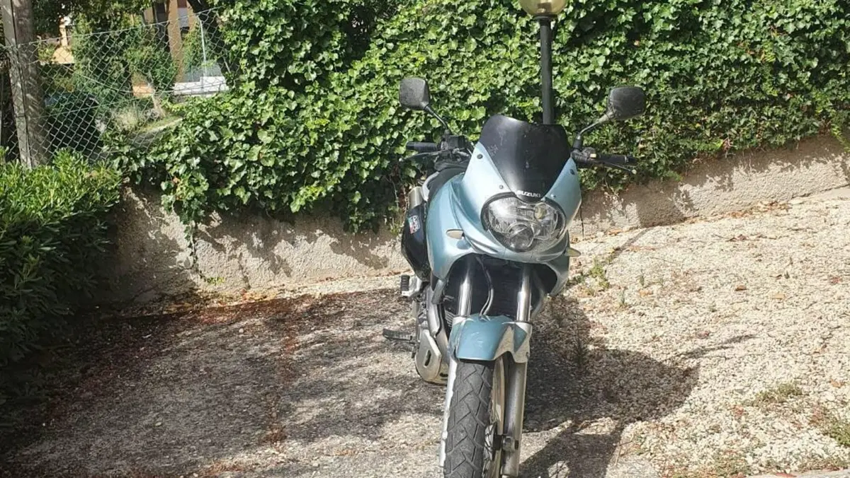 Suzuki XF 650 Freewind (1997 - 03)  (3)
