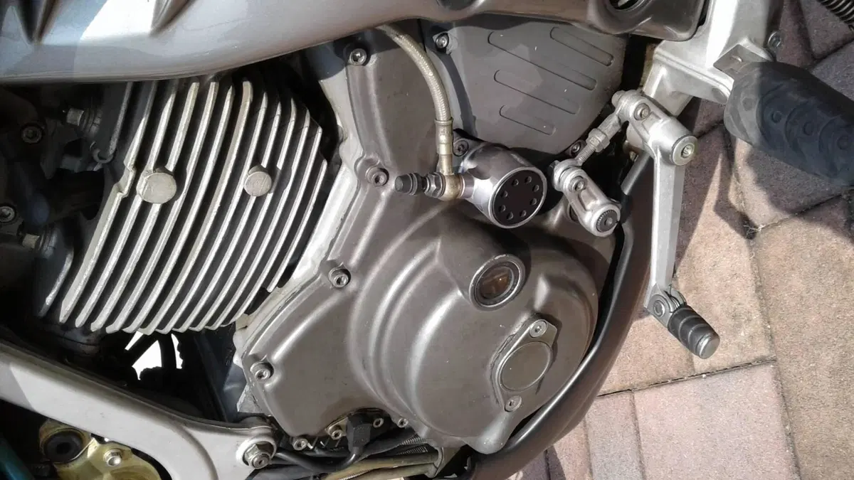 Cagiva Gran Canyon 900  (5)