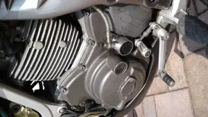 Cagiva Gran Canyon 900  (5)