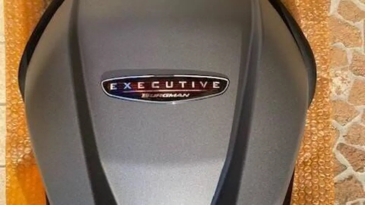 Suzuki Burgman AN 650 Executive ABS (2013 - 17)  (14)