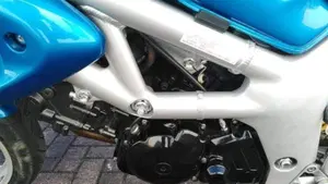 Suzuki   (8)