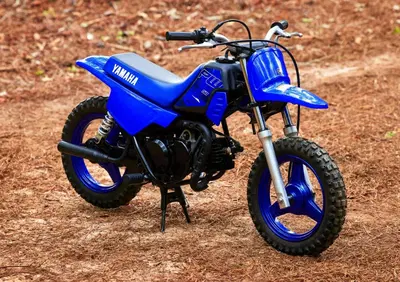 Yamaha PW 50 (2026) - Annuncio 8521971
