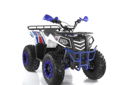  Altre moto o tipologie Quad - Annuncio 8529491