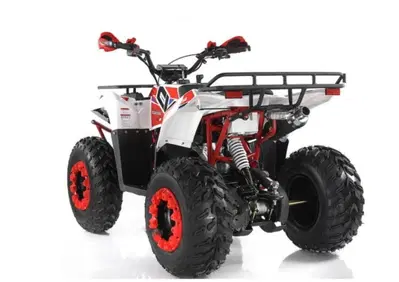  Altre moto o tipologie Quad - Annuncio 8529493