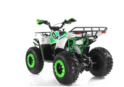  Altre moto o tipologie Quad - Annuncio 8529495