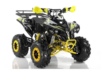 Altre moto o tipologie Quad - Annuncio 8529507