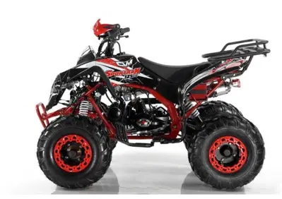  Altre moto o tipologie Quad - Annuncio 8529508