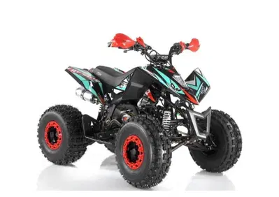  Altre moto o tipologie Quad - Annuncio 8529516