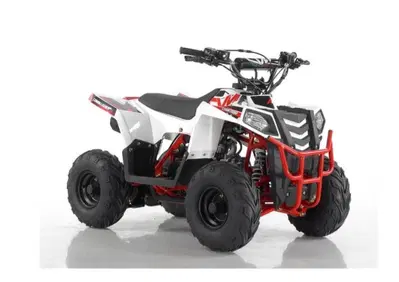  Altre moto o tipologie Quad - Annuncio 8529521