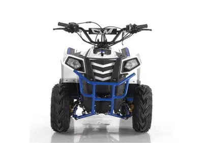  Altre moto o tipologie Quad - Annuncio 8529523