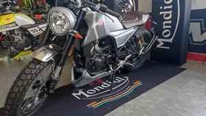 FB Mondial HPS 300 (2017 - 19)  (5)