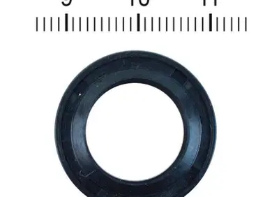 Guarnizione paraolio alberino - Annuncio 8553019