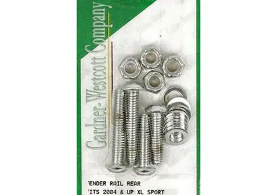 Viti montaggio parafango posteriore cromate per Sp  - Annuncio 8560321