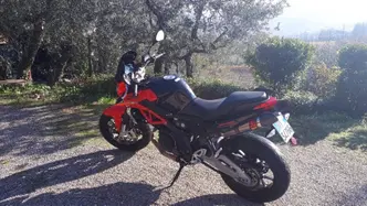 Aprilia Shiver 750 (2010 - 16) usata