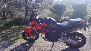 Aprilia Shiver 750 (2010 - 16)  (7)