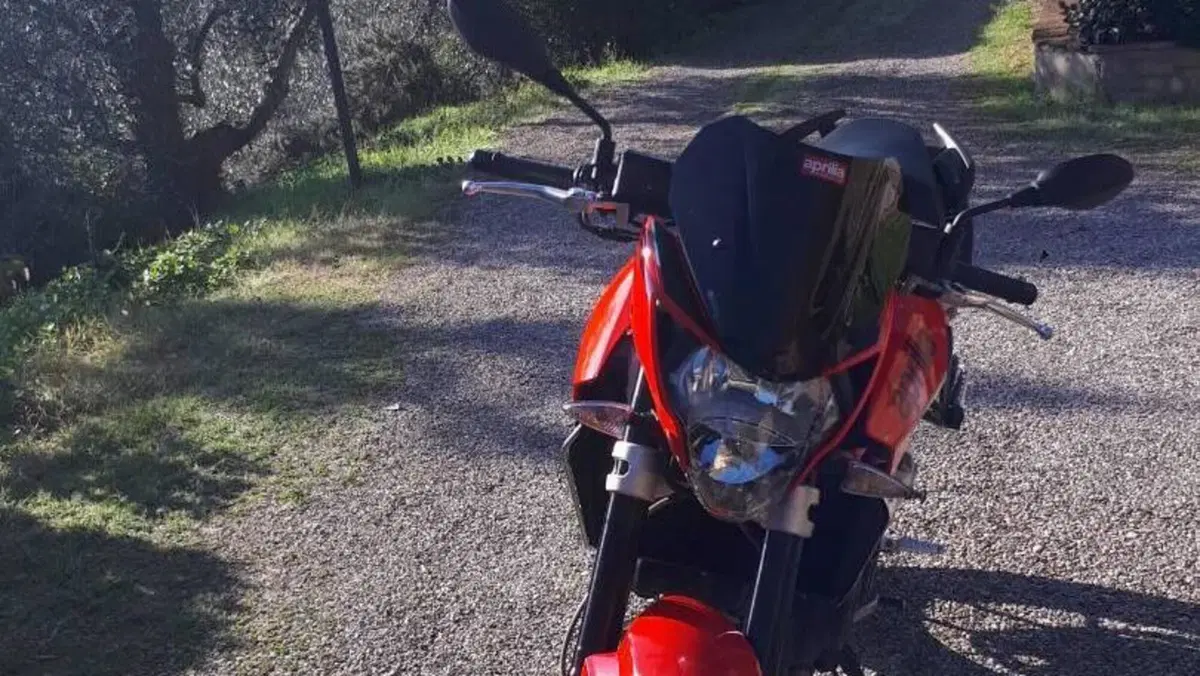 Aprilia Shiver 750 (2010 - 16)  (14)