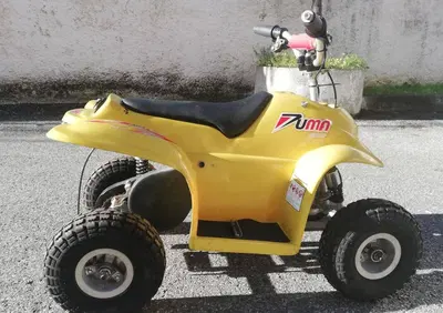  Altre moto o tipologie Minimoto - Annuncio 8579832