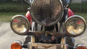 Moto Guzzi California 1100 Iniezione Anniversario (1998)  (6)