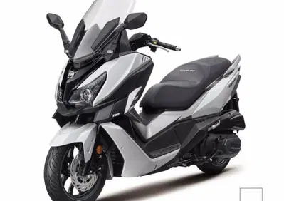 Sym Cruisym 300 (2021 - 24) - Annuncio 8608861