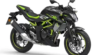 Kawasaki Z 125 (2021 - 24)