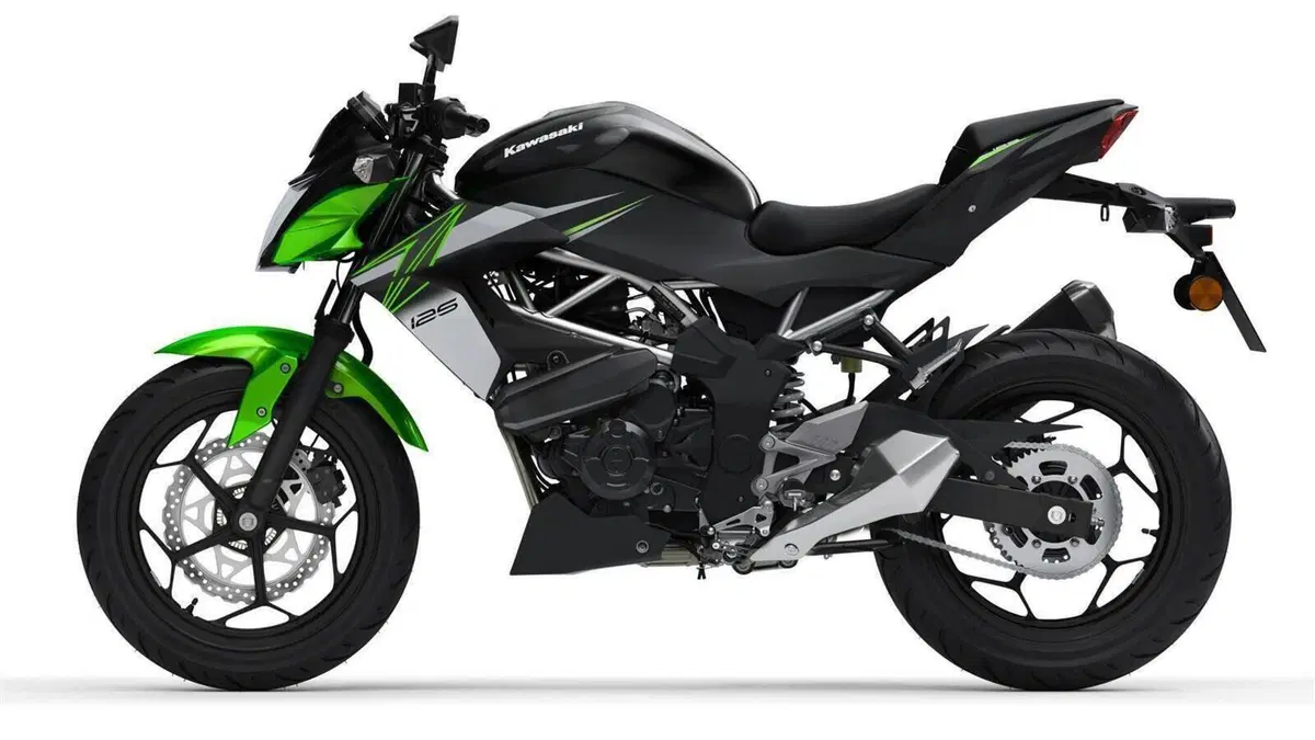 Kawasaki Z 125 (2021 - 24)  (6)